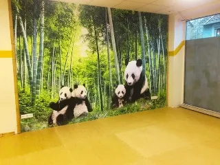 Wandbild im Trainingsraum: ein gemalter Bambuswald mit Pandabären über die ganze Wand.